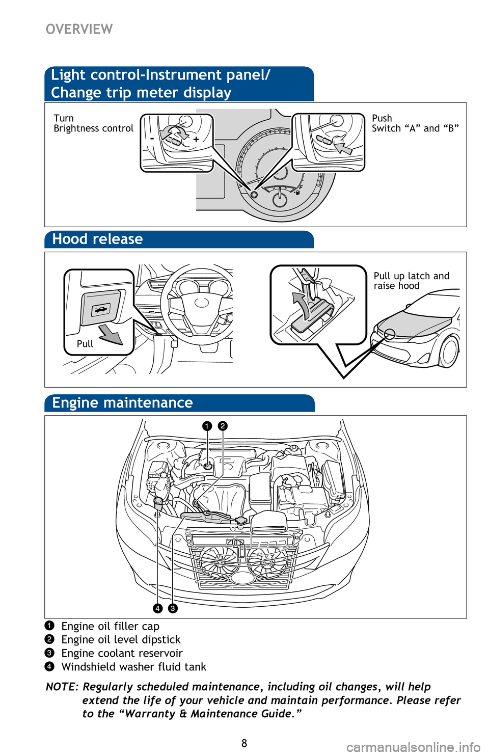 TOYOTA AVALON HYBRID 2016 XX40 / 4.G Quick Reference Guide 8
Hood release
Engine oil filler cap
Engine oil level dipstick
Engine coolant reservoir
Windshield washer fluid tank
NOTE: Regularly scheduled maintenance, including oil changes, will help 
extend the
