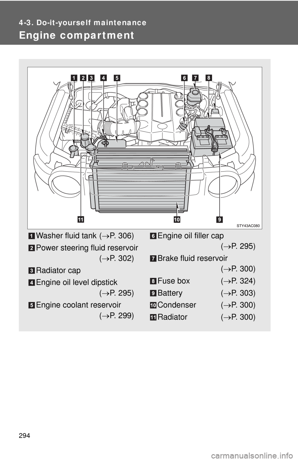 TOYOTA FJ CRUISER 2010 1.G Owners Manual 294
4-3. Do-it-yourself maintenance
Engine compar tment
Washer fluid tank (P. 306)
Power steering fluid reservoir
(P. 302)
Radiator cap
Engine oil level dipstick
(P. 295)
Engine coolant reser