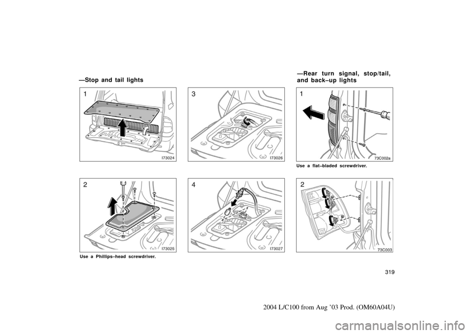 TOYOTA LAND CRUISER 2004 J100 Owners Manual 319
2004 L/C100 from Aug ’03 Prod. (OM60A04U)
Use a Phillips–head screwdriver.
Use a flat�bladed screwdriver.
—Stop and tail lights—Rear turn signal, stop/tail,
and back–up lights 