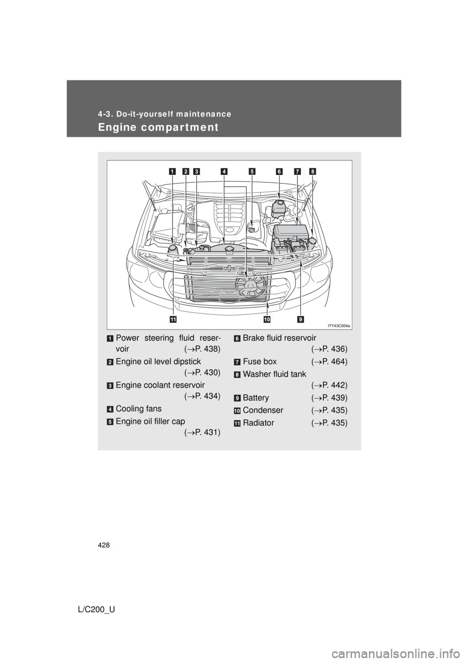 TOYOTA LAND CRUISER 2010 J200 Owners Manual 428
4-3. Do-it-yourself maintenance
L/C200_U
Engine compar tment
Power steering fluid reser-
voir (P. 438)
Engine oil level dipstick ( P. 430)
Engine coolant reservoir ( P. 434)
Cooling fans
