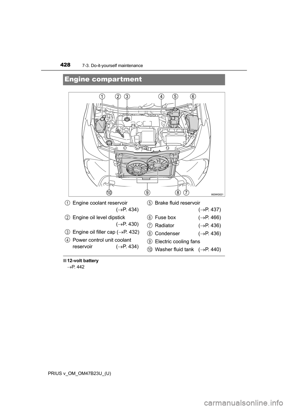 TOYOTA PRIUS V 2017 ZVW40 / 1.G Owners Manual 428
PRIUS v_OM_OM47B23U_(U)
7-3. Do-it-yourself maintenance
Engine compartment
■12-volt battery
P. 442
Engine coolant reservoir 
( P. 434)
Engine oil level dipstick  ( P. 430)
Engine oil fi