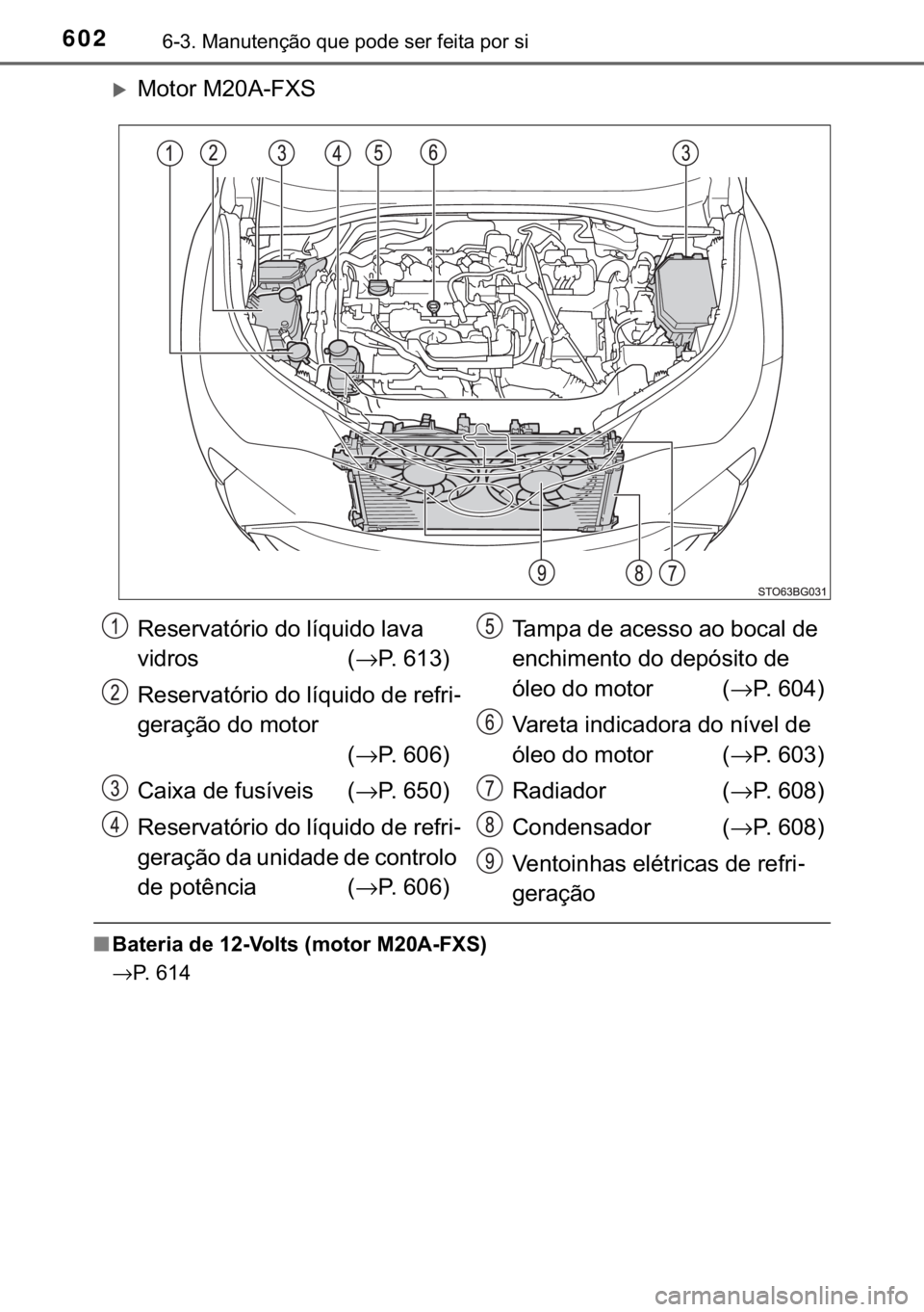 TOYOTA C-HR 2020  Manual de utilização (in Portuguese) 602������0�D�Q�X�W�H�Q�o�m�R��T�X�H��S�R�G�H��V�H�U��I�H�L�W�D��S�R�U��V�L
�X�0�R�W�R�U��0���$��)�;�6�
■�%�D�W�H�U�L�D��G�H�����9�R�O�W�V���P�R�W�R�U��0���$��)�;�6�
→�3