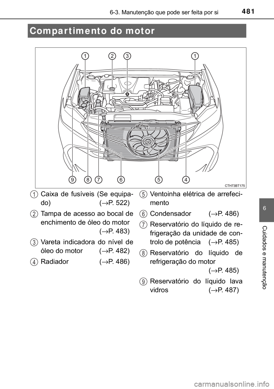 TOYOTA CAMRY 2019  Manual de utilização (in Portuguese) 481������0�D�Q�X�W�H�Q�o�m�R��T�X�H��S�R�G�H��V�H�U��I�H�L�W�D��S�R�U��V�L
�
�&�X�L�G�D�G�R�V��H��P�D�Q�X�W�H�Q�o�m�R
Compar timento do motor
�&�D�L�[�D� �G�H� �I�X�V�t�Y�H�L�V� ��6�