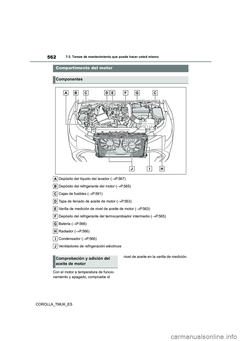 TOYOTA COROLLA HATCHBACK 2019 Manual del propietario (in Spanish) 562
COROLLA_TMUK_ES
7-3. Tareas de mantenimiento que puede hacer usted mismo
Depósito del líquido del lavador (P.567)
Depósito del refrigerante del motor ( P.565)
Cajas de fusibles ( P.5 TOYOTA COROLLA HATCHBACK 2019 Manual del propietario (in Spanish) 562
COROLLA_TMUK_ES
7-3. Tareas de mantenimiento que puede hacer usted mismo
Depósito del líquido del lavador (P.567)
Depósito del refrigerante del motor ( P.565)
Cajas de fusibles ( P.5
