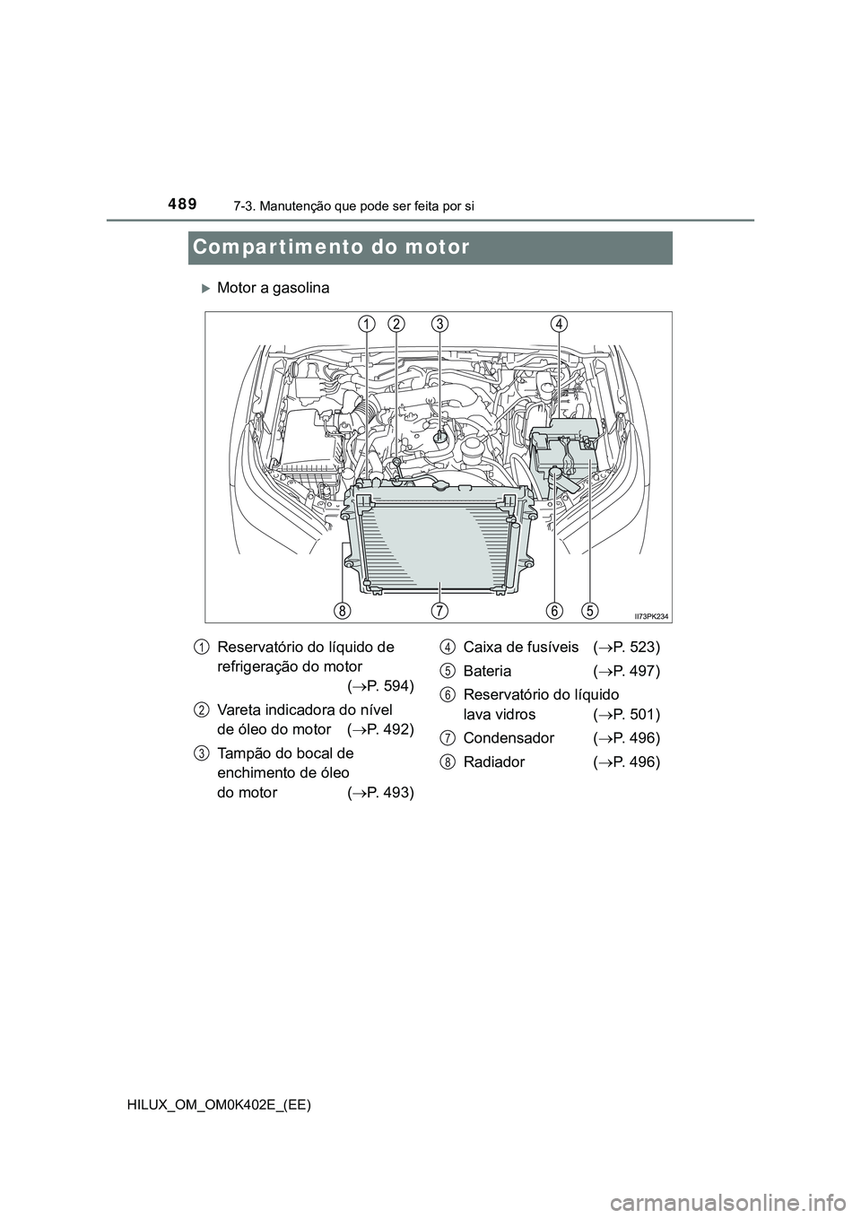 TOYOTA HILUX 2023  Manual de utilização (in Portuguese) 4897-3. Manutenção que pode ser feita por si
HILUX_OM_OM0K402E_(EE)
Compartimento do motor
Motor a gasolina
Reservatório do líquido de 
refrigeração do motor 
(P. 594)
Vareta indicadora do