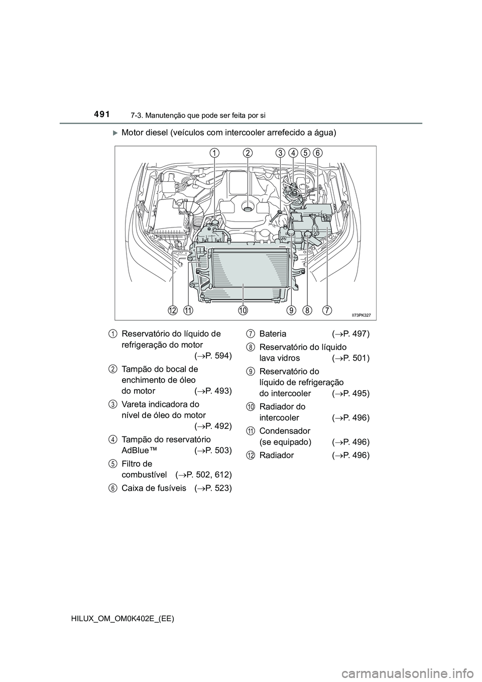 TOYOTA HILUX 2023  Manual de utilização (in Portuguese) 4917-3. Manutenção que pode ser feita por si 
HILUX_OM_OM0K402E_(EE)
Motor diesel (veículos com intercooler arrefecido a água)
Reservatório do líquido de 
refrigeração do motor 
(P. 594)