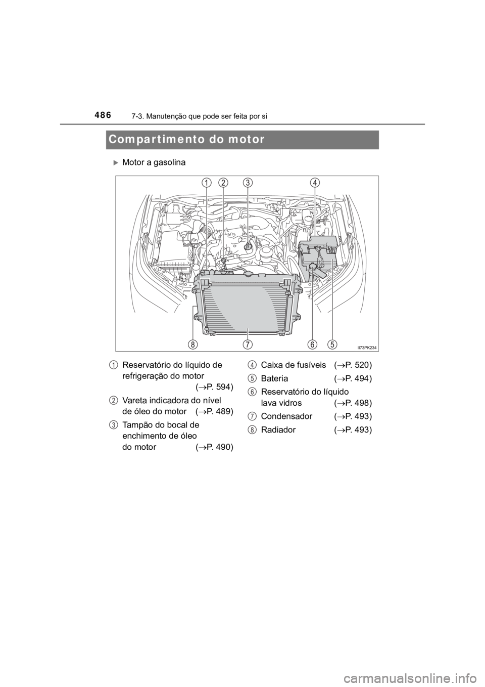 TOYOTA HILUX 2022 Manual de utilização (in Portuguese) 4867-3. Manutenção que pode ser feita por siCompartimento do motorMotor a gasolinaReservatório do líquido de refrigeração do motor (P. 594)Vareta indicadora do nível de óleo do motor ( TOYOTA HILUX 2022 Manual de utilização (in Portuguese) 4867-3. Manutenção que pode ser feita por siCompartimento do motorMotor a gasolinaReservatório do líquido de refrigeração do motor (P. 594)Vareta indicadora do nível de óleo do motor (