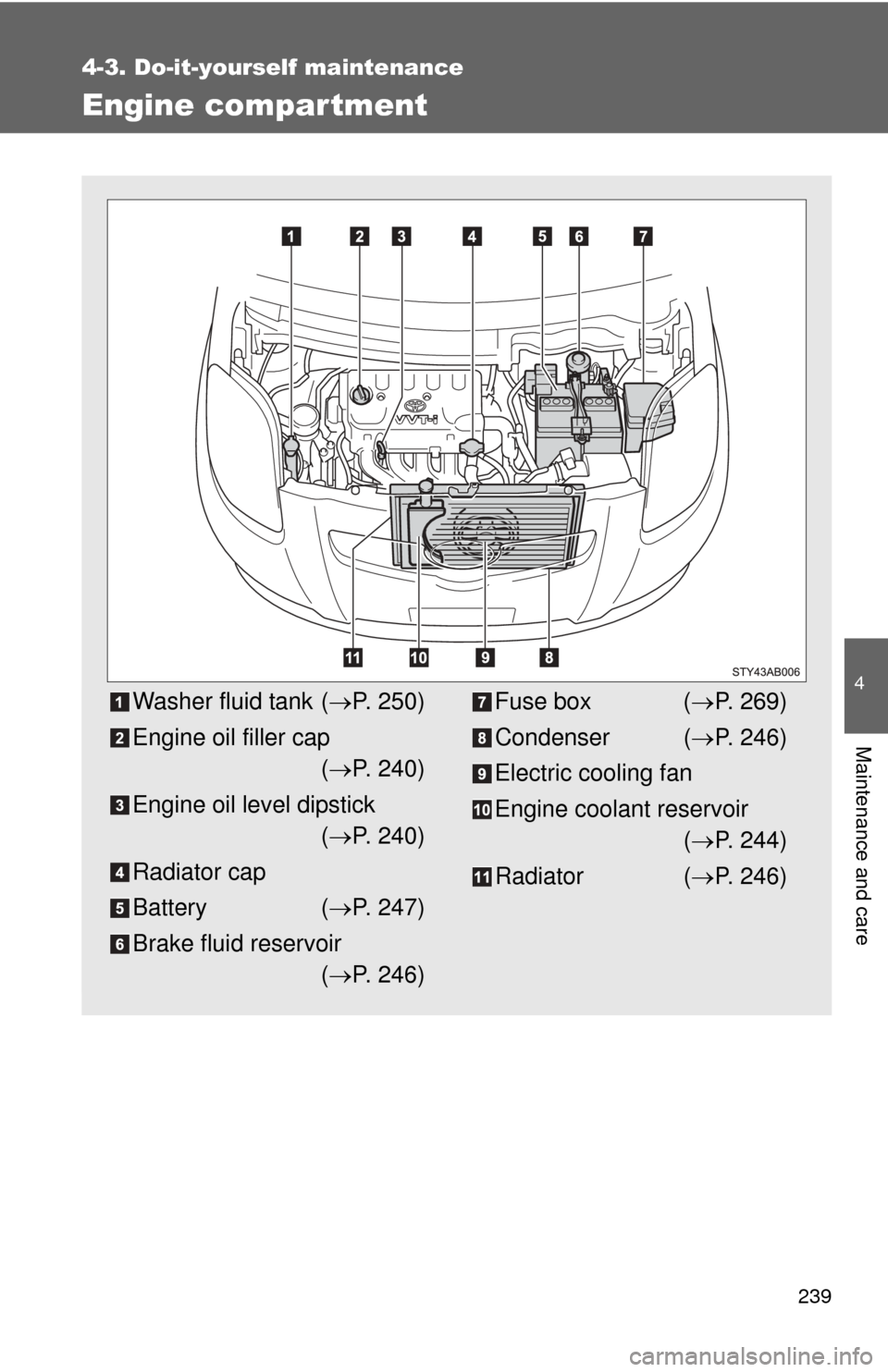 TOYOTA YARIS 2008 2.G Owners Manual 239
4-3. Do-it-yourself maintenance
4
Maintenance and care
Engine compar tment
Washer fluid tank (P. 250)
Engine oil filler cap ( P. 240)
Engine oil level dipstick ( P. 240)
Radiator cap
Batt