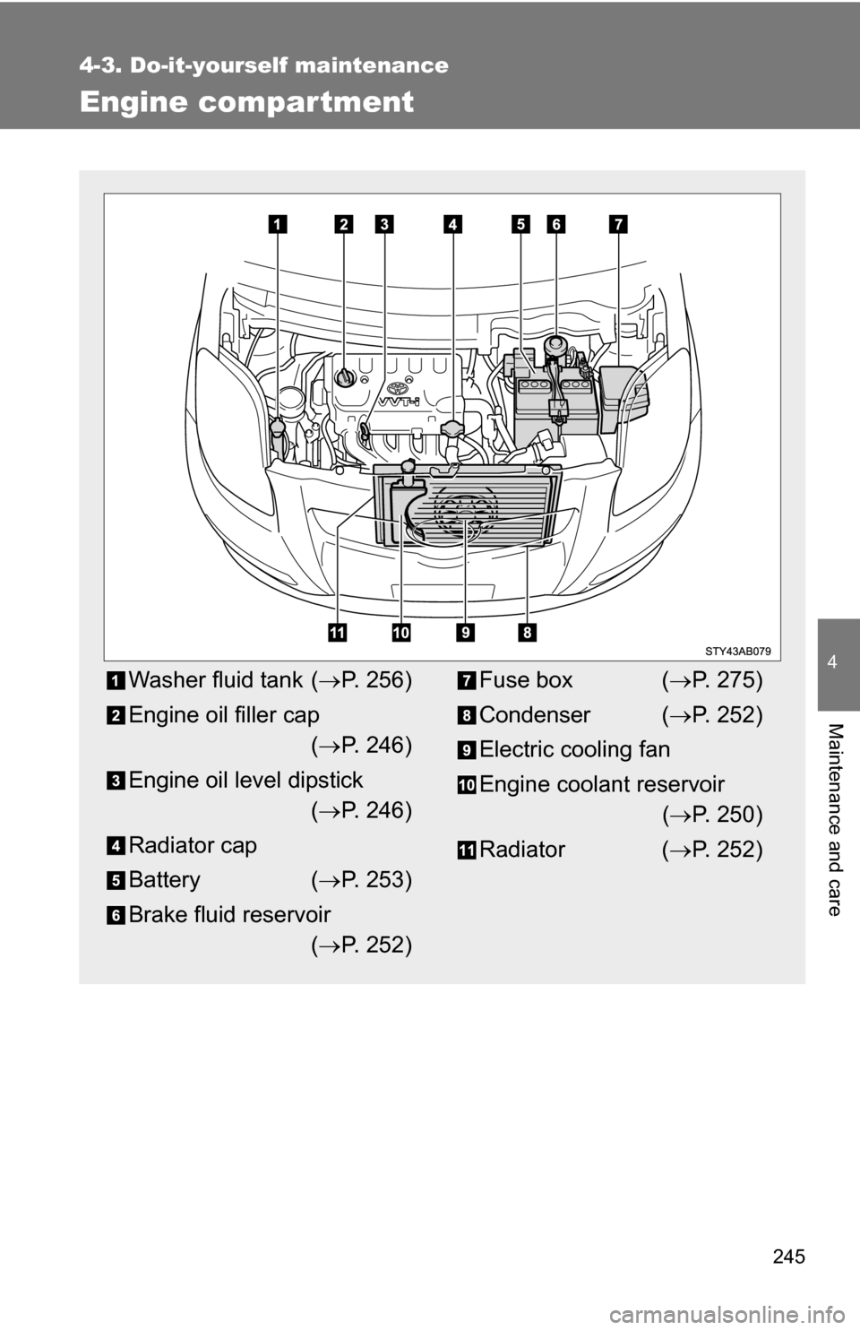 TOYOTA YARIS 2009 2.G Owners Manual 245
4-3. Do-it-yourself maintenance
4
Maintenance and care
Engine compar tment
Washer fluid tank (P. 256)
Engine oil filler cap ( P. 246)
Engine oil level dipstick ( P. 246)
Radiator cap
Batt TOYOTA YARIS 2009 2.G Owners Manual 245
4-3. Do-it-yourself maintenance
4
Maintenance and care
Engine compar tment
Washer fluid tank (P. 256)
Engine oil filler cap ( P. 246)
Engine oil level dipstick ( P. 246)
Radiator cap
Batt