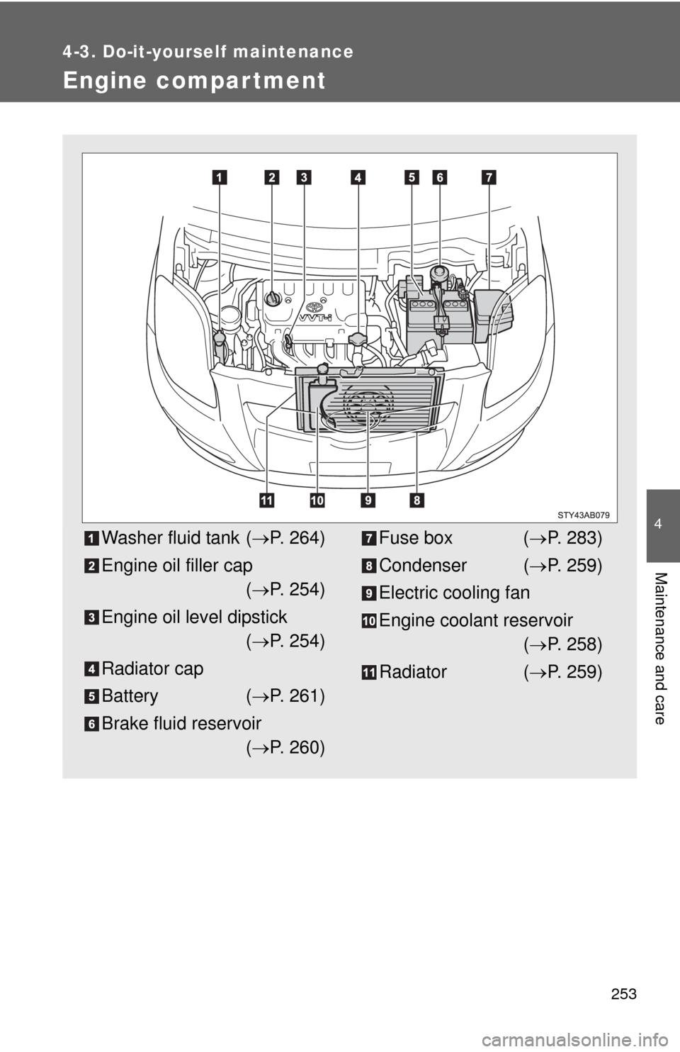 TOYOTA YARIS 2010 3.G User Guide 253
4-3. Do-it-yourself maintenance
4
Maintenance and care
Engine compar tment
Washer fluid tank (P. 264)
Engine oil filler cap
(P. 254)
Engine oil level dipstick
(P. 254)
Radiator cap
Batter
