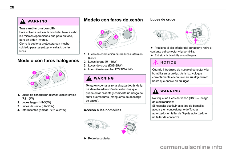 TOYOTA PROACE VERSO EV 2022  Manual del propietario (in Spanish) 248
WARNI NG
Tras cambiar una bombillaPara volver a colocar la bombilla, lleve a cabo las mismas operaciones que para quitarla, pero en orden inverso.Cierre la cubierta protectora con mucho cuidado pa
