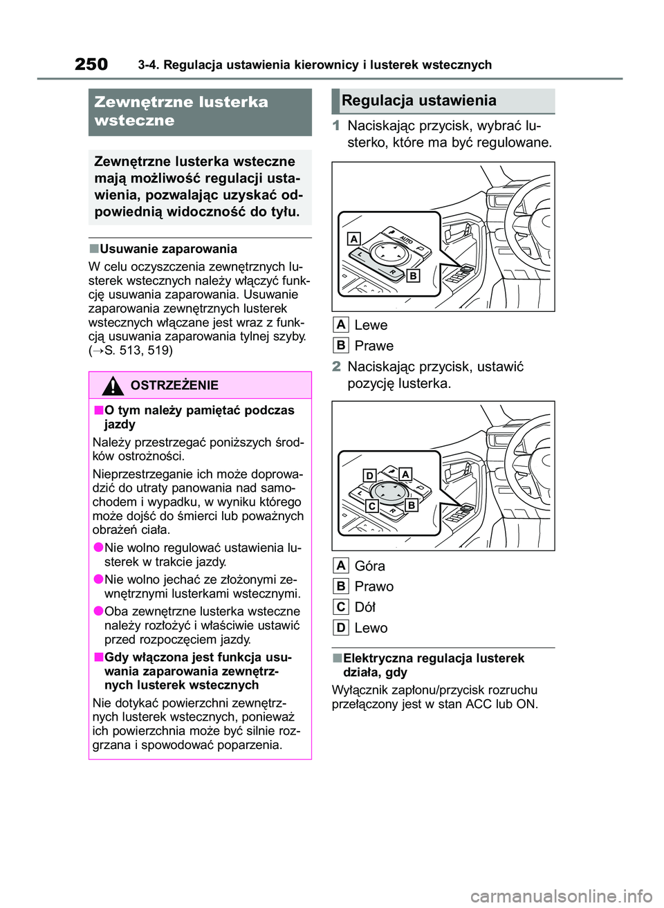 TOYOTA RAV4 2020  Instrukcja obsługi (in Polish) Usuwanie zaparowania
W celu oczyszczenia zewn´trznych lu-
sterek wstecznych nale˝y w∏àczyç funk-
cj´ usuwania zaparowania. Usuwanie
zaparowania zewn´trznych lusterek
wstecznych w∏àczane jes