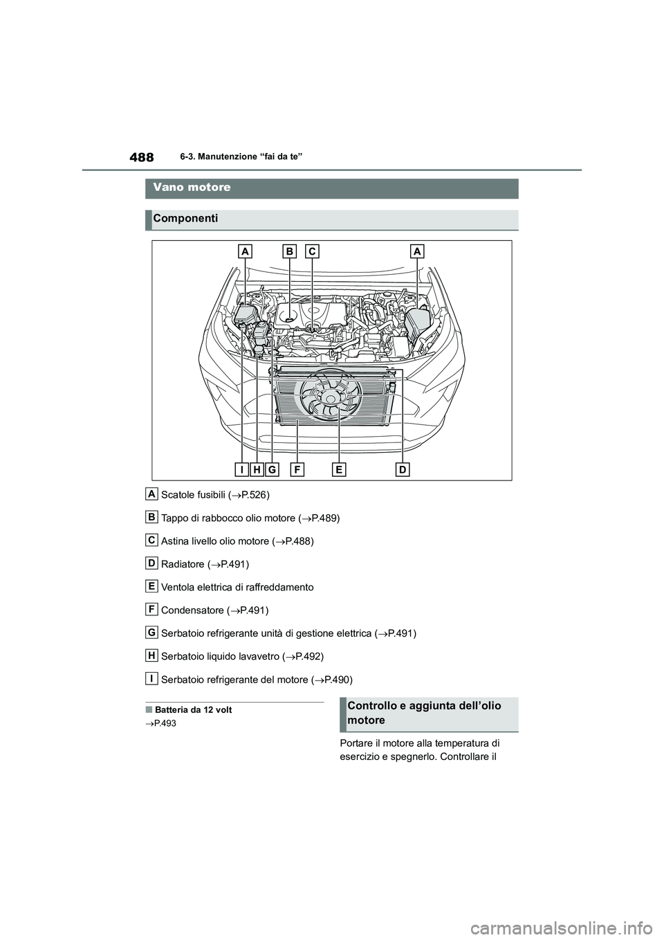TOYOTA RAV4 2019  Manuale duso (in Italian) 4886-3. Manutenzione “fai da te”
Scatole fusibili (P.526)
Tappo di rabbocco olio motore (P. 4 8 9 )
Astina livello olio motore (P.488)
Radiatore (P.491)
Ventola elettrica di raffreddam