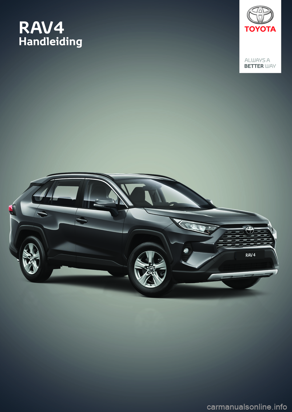 TOYOTA RAV4 2019  Instructieboekje (in Dutch) RAV4 
Handleiding
R AV 4
Handleiding 
