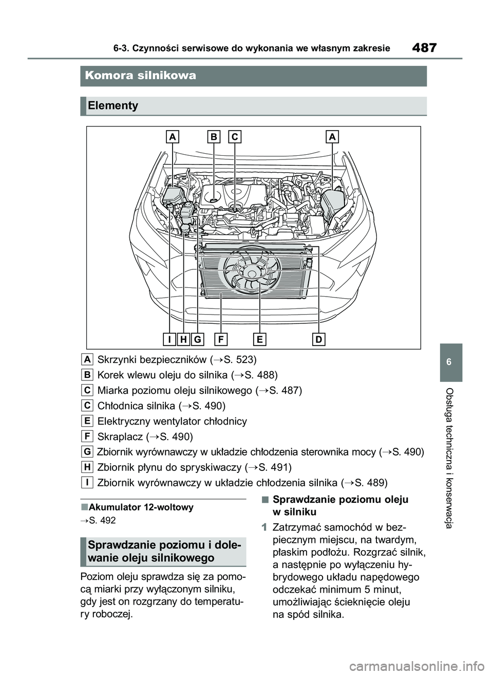 TOYOTA RAV4 2019  Instrukcja obsługi (in Polish) Akumulator 12-woltowy
S. 492
Poziom oleju sprawdza si´ za pomo-
cà miarki przy wy∏àczonym silniku,
gdy jest on rozgrzany do temperatu-
ry roboczej.Sprawdzanie poziomu oleju
w silniku
1Zatrzymaç