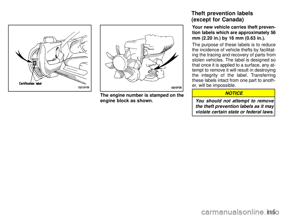TOYOTA SUPRA 1996  Owners Manual 11 5
The engine number is stamped on the 
engine block as shown.Your new vehicle carries theft preven-
tion labels which are approximately 56 mm (2.20 in.) by 16 mm (0.63 in.). The purpose of these la