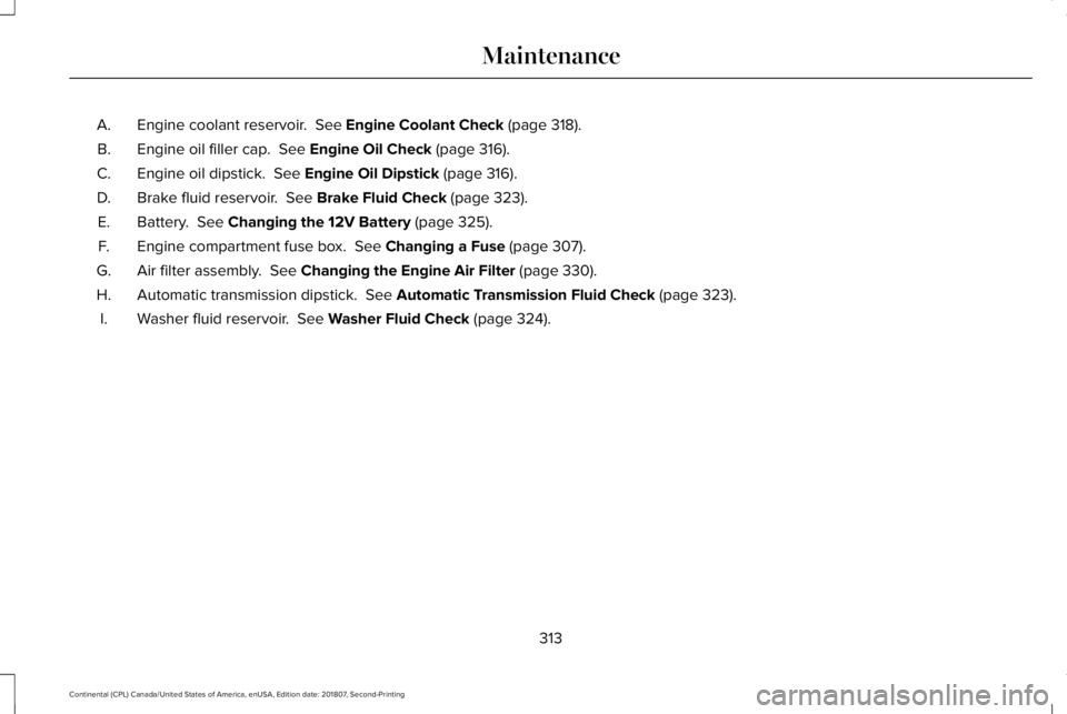 LINCOLN CONTINENTAL 2019 Owners Manual Engine coolant reservoir. See Engine Coolant Check (page 318).
A.
Engine oil filler cap.
See Engine Oil Check (page 316).
B.
Engine oil dipstick.
See Engine Oil Dipstick (page 316).
C.
Brake flui LINCOLN CONTINENTAL 2019 Owners Manual Engine coolant reservoir. See Engine Coolant Check (page 318).
A.
Engine oil filler cap.
See Engine Oil Check (page 316).
B.
Engine oil dipstick.
See Engine Oil Dipstick (page 316).
C.
Brake flui