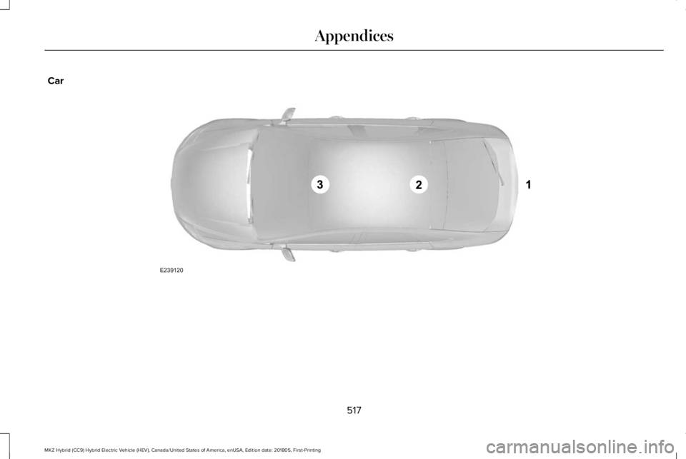 LINCOLN MKZ HYBRID 2019  Owners Manual Car
517
MKZ Hybrid (CC9) Hybrid Electric Vehicle (HEV), Canada/United States of America, enUSA, Edition date: 201805, First-Printing
AppendicesE239120  