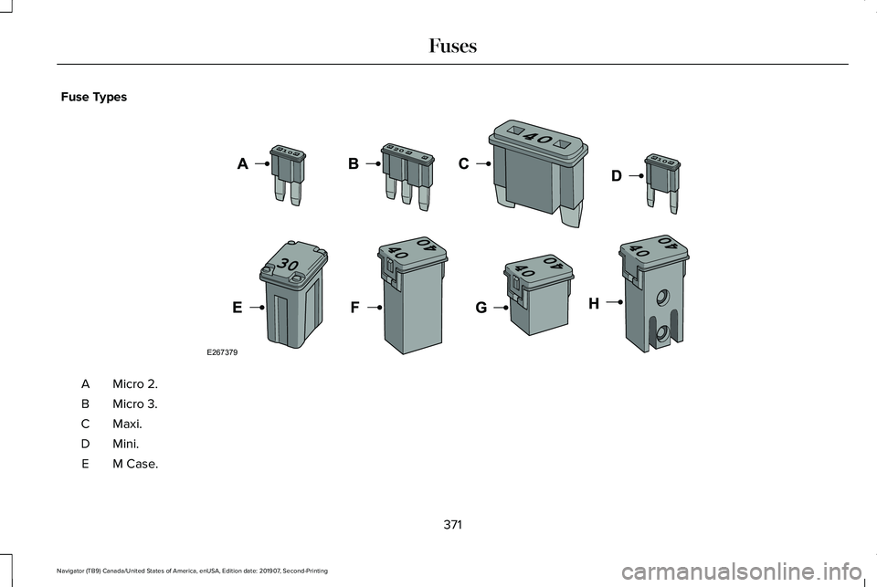 LINCOLN NAVIGATOR 2020  Owners Manual Fuse Types
Micro 2.
A
Micro 3.
B
Maxi.C
Mini.D
M Case.
E
371
Navigator (TB9) Canada/United States of America, enUSA, Edition date: 201907, Second-Printing FusesE267379  