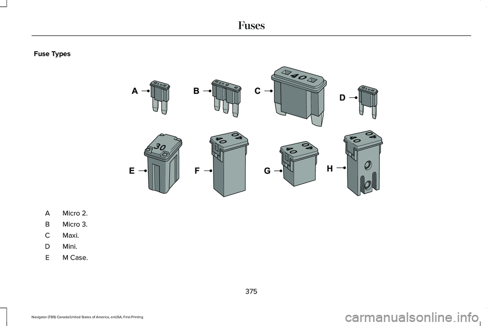 LINCOLN NAVIGATOR 2021  Owners Manual Fuse Types
Micro 2.
A
Micro 3.
B
Maxi.C
Mini.D
M Case.
E
375
Navigator (TB9) Canada/United States of America, enUSA, First-Printing Fuses E267379   