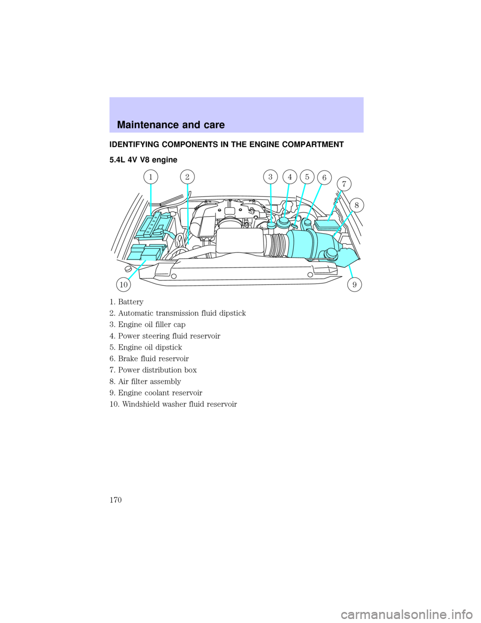 LINCOLN BLACKWOOD 2002 Owners Manual IDENTIFYING COMPONENTS IN THE ENGINE COMPARTMENT
5.4L 4V V8 engine
1. Battery
2. Automatic transmission fluid dipstick
3. Engine oil filler cap
4. Power steering fluid reservoir
5. Engine oil dipstick LINCOLN BLACKWOOD 2002 Owners Manual IDENTIFYING COMPONENTS IN THE ENGINE COMPARTMENT
5.4L 4V V8 engine
1. Battery
2. Automatic transmission fluid dipstick
3. Engine oil filler cap
4. Power steering fluid reservoir
5. Engine oil dipstick