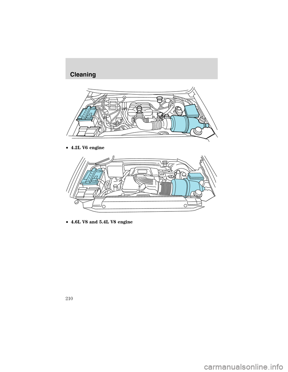 LINCOLN BLACKWOOD 2003 Owners Manual •4.2L V6 engine
•4.6L V8 and 5.4L V8 engine
Cleaning
210 LINCOLN BLACKWOOD 2003 Owners Manual •4.2L V6 engine
•4.6L V8 and 5.4L V8 engine
Cleaning
210