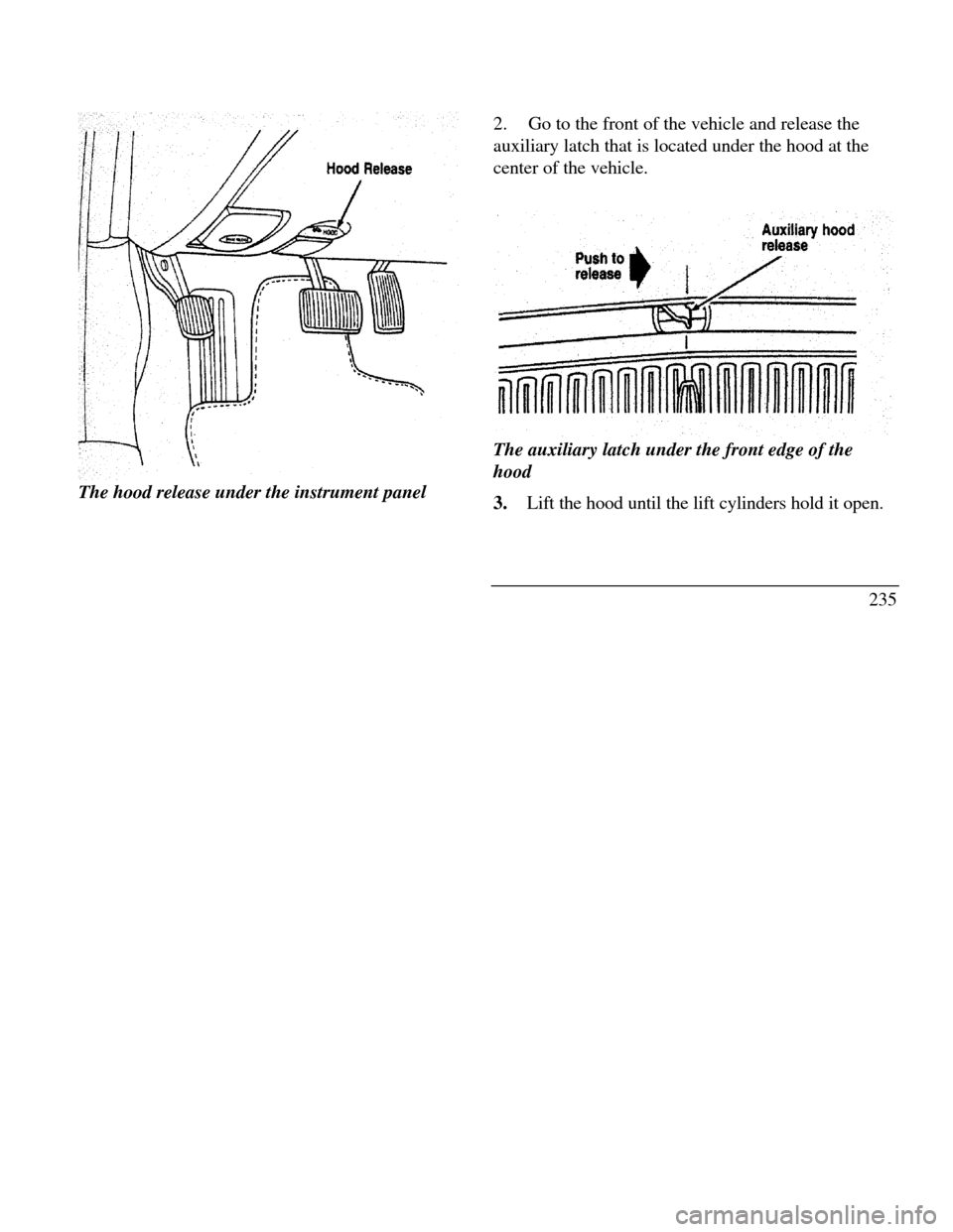 LINCOLN CONTINENTAL 1996 Customer Assistance Guide The hood release under the instrument panel2.Go to the front of the vehicle and release the
auxiliary latch that is located under the hood at the
center of the vehicle.
Auxiliary hood releaseThe auxil LINCOLN CONTINENTAL 1996 Customer Assistance Guide The hood release under the instrument panel2.Go to the front of the vehicle and release the
auxiliary latch that is located under the hood at the
center of the vehicle.
Auxiliary hood releaseThe auxil