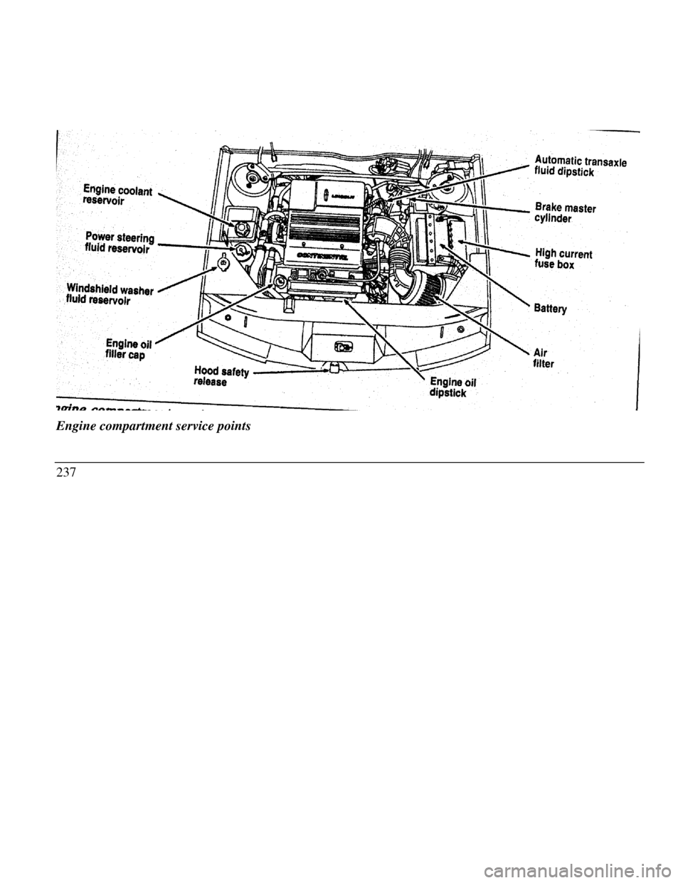 LINCOLN CONTINENTAL 1996 Customer Assistance Guide Engine coolant reservoir Power steering fluid reservoir Windshield washer fluid reservoir Engine oil filler cap Hood safety release High current fuse box Engine oil
dipstick Air filterEngine compartme LINCOLN CONTINENTAL 1996 Customer Assistance Guide Engine coolant reservoir Power steering fluid reservoir Windshield washer fluid reservoir Engine oil filler cap Hood safety release High current fuse box Engine oil
dipstick Air filterEngine compartme