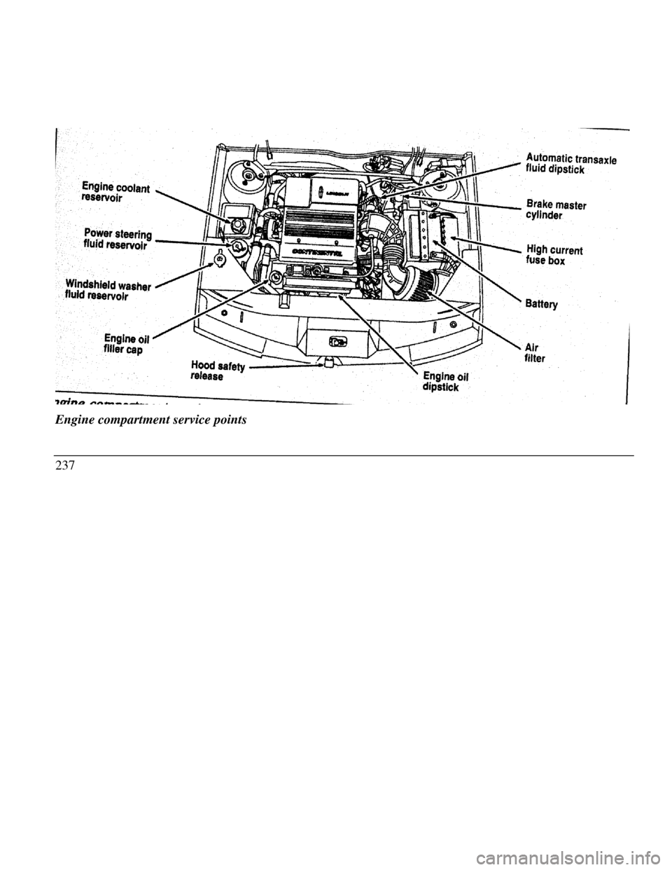 LINCOLN CONTINENTAL 1996  Customer Assistance Guide Engine coolant reservoir Power steering fluid reservoir Windshield washer fluid reservoir Engine oil filler cap Hood safety release High current fuse box Engine oil
dipstick Air filterEngine compartme