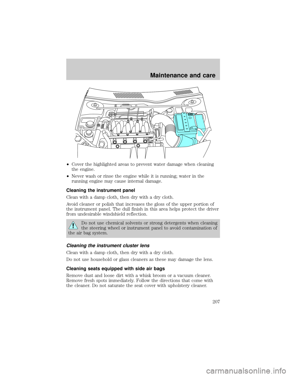 LINCOLN CONTINENTAL 2000  Owners Manual ²Cover the highlighted areas to prevent water damage when cleaning
the engine.
²Never wash or rinse the engine while it is running; water in the
running engine may cause internal damage.
Cleaning th