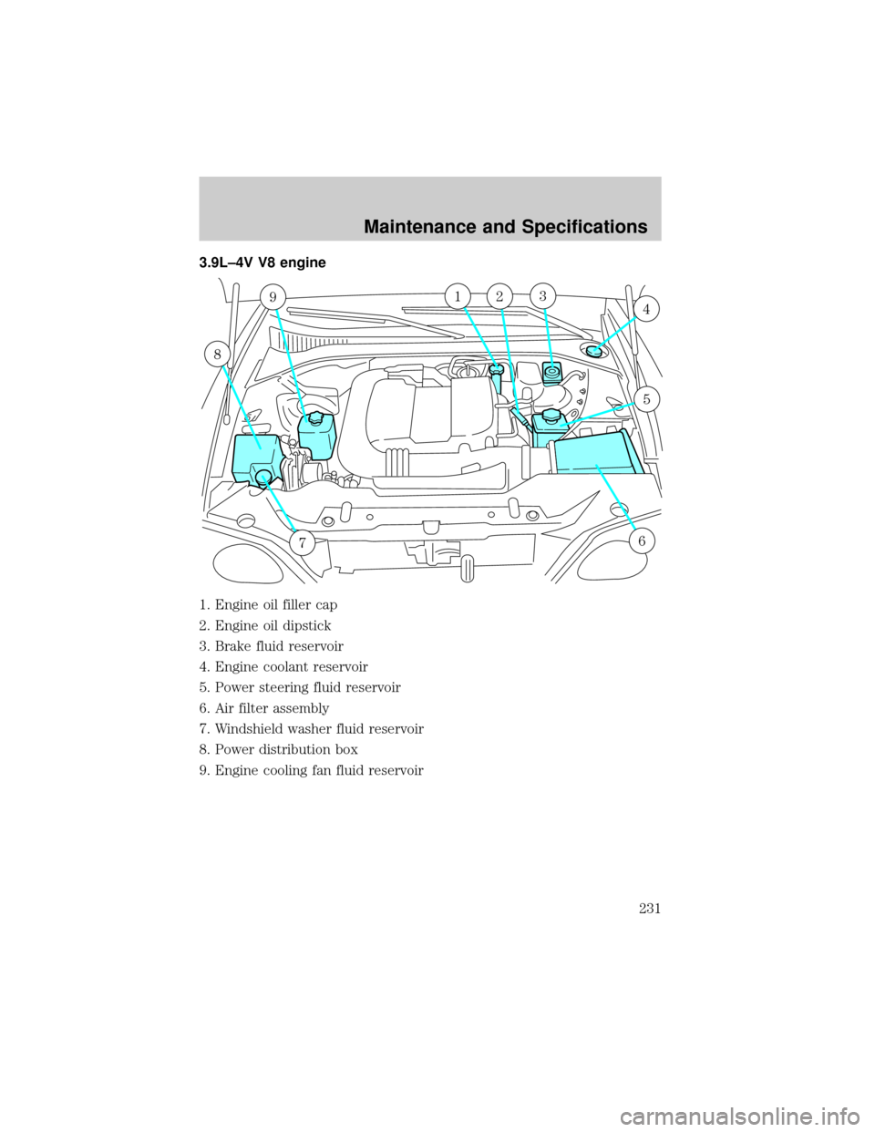 LINCOLN LS 2002 User Guide 3.9L±4V V8 engine
1. Engine oil filler cap
2. Engine oil dipstick
3. Brake fluid reservoir
4. Engine coolant reservoir
5. Power steering fluid reservoir
6. Air filter assembly
7. Windshield washer fl