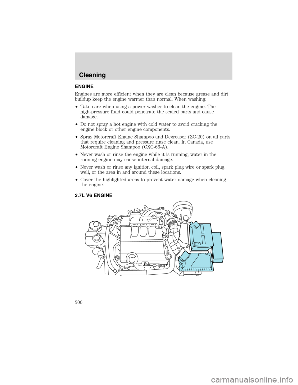 LINCOLN MKS 2010  Owners Manual ENGINE
Engines are more efficient when they are clean because grease and dirt
buildup keep the engine warmer than normal. When washing:
•Take care when using a power washer to clean the engine. The

