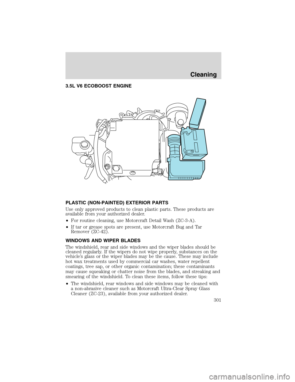 LINCOLN MKS 2010  Owners Manual 3.5L V6 ECOBOOST ENGINE
PLASTIC (NON-PAINTED) EXTERIOR PARTS
Use only approved products to clean plastic parts. These products are
available from your authorized dealer.
•For routine cleaning, use M