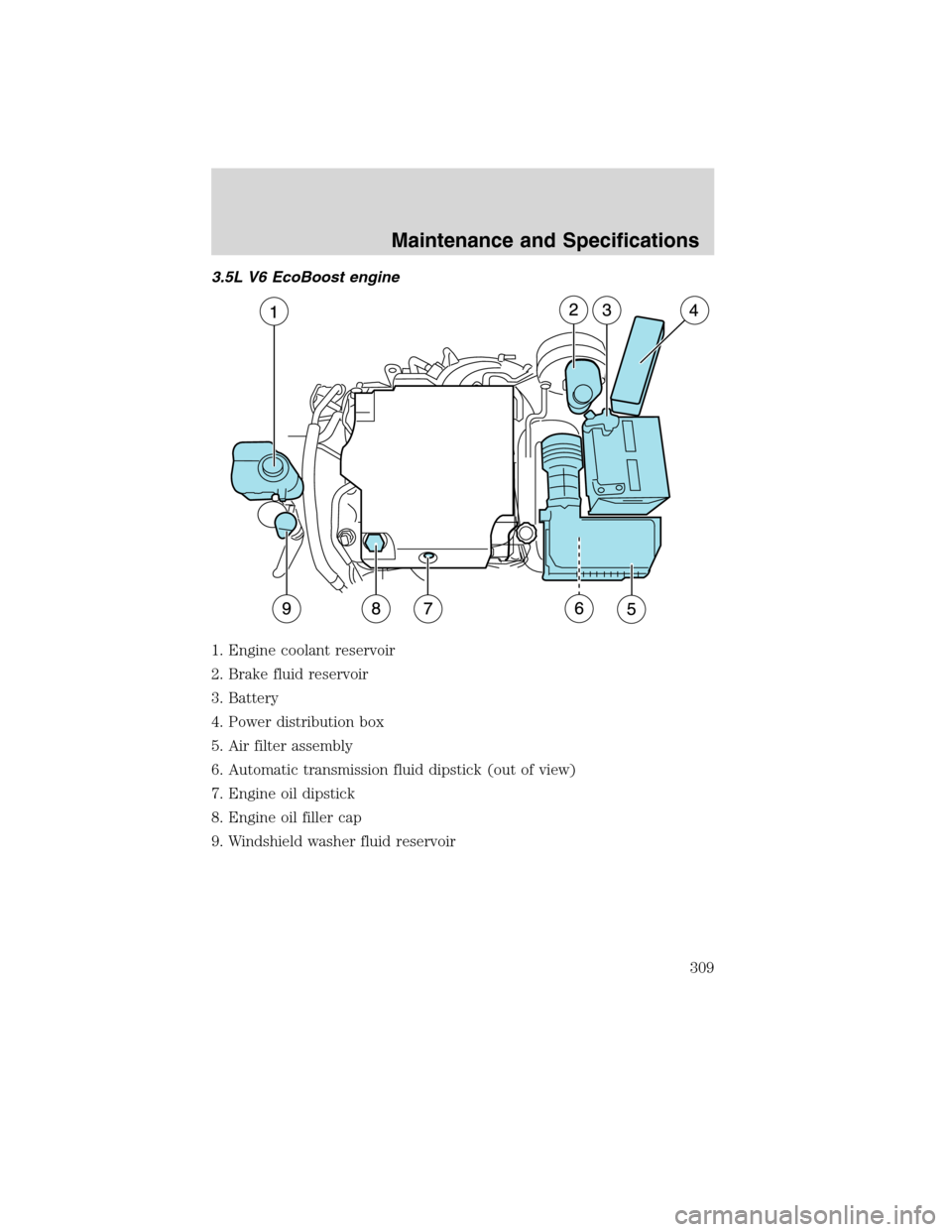 LINCOLN MKS 2010  Owners Manual 3.5L V6 EcoBoost engine
1. Engine coolant reservoir
2. Brake fluid reservoir
3. Battery
4. Power distribution box
5. Air filter assembly
6. Automatic transmission fluid dipstick (out of view)
7. Engin