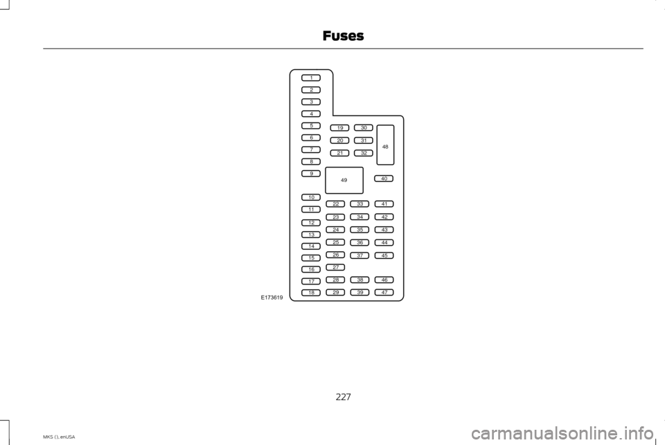 LINCOLN MKS 2015  Owners Manual 227
MKS (), enUSA FusesE173619
1
2
3
4
5
6
7
8
9
10
11
12
13
14
15
16
17
18
19
20
21
223341
42
43
44
45
34
35
36
37
23
24
25
26
27
283846
394729
32
40
31
30
48
49  