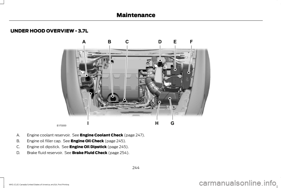 LINCOLN MKS 2016  Owners Manual UNDER HOOD OVERVIEW - 3.7L
Engine coolant reservoir.  See Engine Coolant Check (page 247).
A.
Engine oil filler cap.  See 
Engine Oil Check (page 245).
B.
Engine oil dipstick.  See 
Engine Oil Dipstic