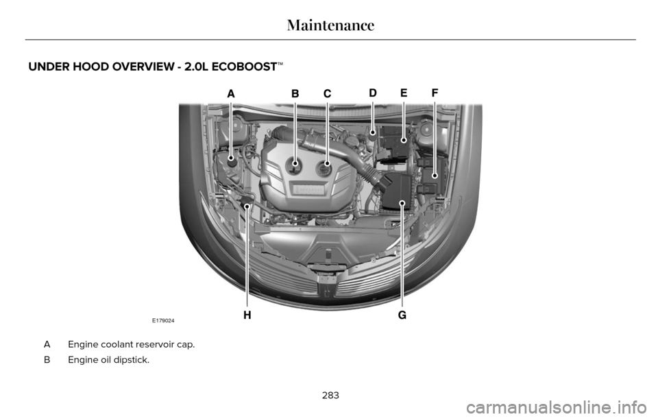 LINCOLN MKZ 2016 Owners Manual UNDER HOOD OVERVIEW - 2.0L ECOBOOST™
E179024
Engine coolant reservoir cap.
A
Engine oil dipstick.
B
283
Maintenance LINCOLN MKZ 2016 Owners Manual UNDER HOOD OVERVIEW - 2.0L ECOBOOST™
E179024
Engine coolant reservoir cap.
A
Engine oil dipstick.
B
283
Maintenance