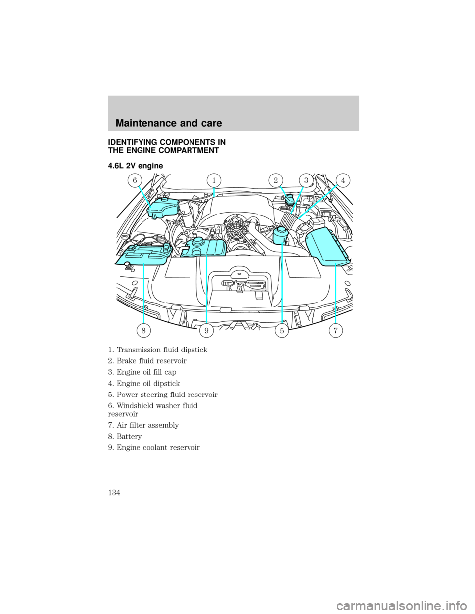 LINCOLN TOWN CAR 1998  Owners Manual IDENTIFYING COMPONENTS IN
THE ENGINE COMPARTMENT
4.6L 2V engine
1. Transmission fluid dipstick
2. Brake fluid reservoir
3. Engine oil fill cap
4. Engine oil dipstick
5. Power steering fluid reservoir
