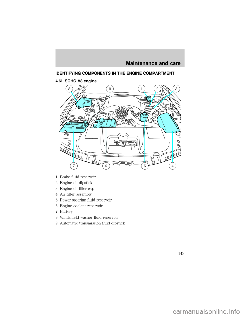 LINCOLN TOWN CAR 1999  Owners Manual IDENTIFYING COMPONENTS IN THE ENGINE COMPARTMENT
4.6L SOHC V8 engine
1. Brake fluid reservoir
2. Engine oil dipstick
3. Engine oil filler cap
4. Air filter assembly
5. Power steering fluid reservoir
6