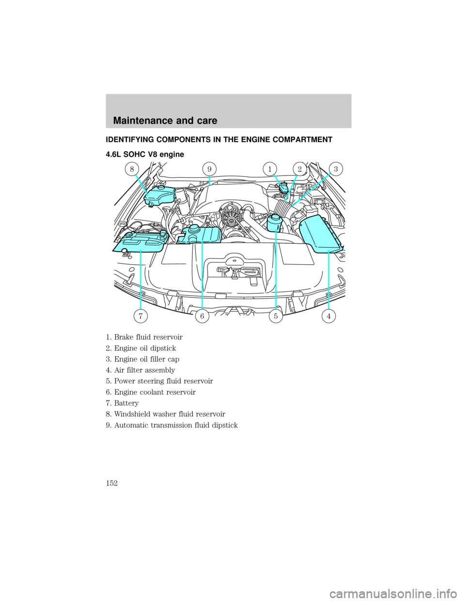 LINCOLN TOWN CAR 2000  Owners Manual IDENTIFYING COMPONENTS IN THE ENGINE COMPARTMENT
4.6L SOHC V8 engine
1. Brake fluid reservoir
2. Engine oil dipstick
3. Engine oil filler cap
4. Air filter assembly
5. Power steering fluid reservoir
6