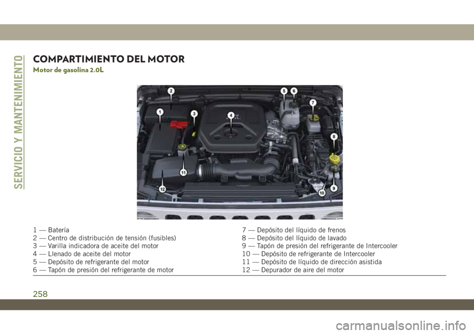 JEEP WRANGLER UNLIMITED 2018 Manual de Empleo y Cuidado (in Spanish) COMPARTIMIENTO DEL MOTOR
Motor de gasolina 2.0L
1 — Batería 7 — Depósito del líquido de frenos
2 — Centro de distribución de tensión (fusibles) 8 — Depósito del líquido de lavado
3 — JEEP WRANGLER UNLIMITED 2018 Manual de Empleo y Cuidado (in Spanish) COMPARTIMIENTO DEL MOTOR
Motor de gasolina 2.0L
1 — Batería 7 — Depósito del líquido de frenos
2 — Centro de distribución de tensión (fusibles) 8 — Depósito del líquido de lavado
3 —