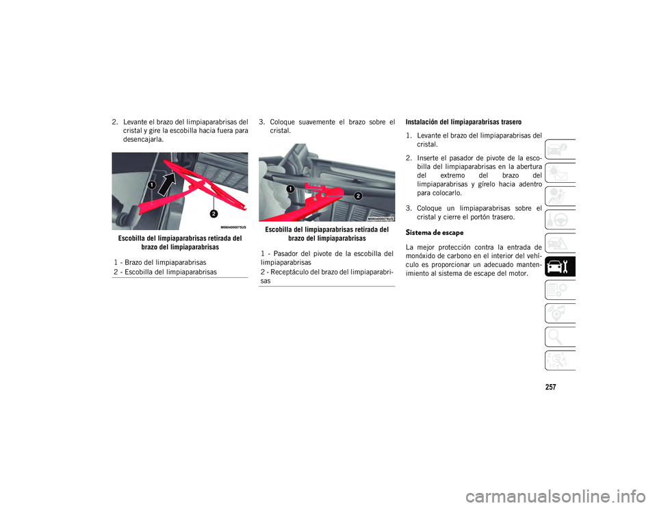 JEEP WRANGLER UNLIMITED 2020  Manual de Empleo y Cuidado (in Spanish) 257
2. Levante el brazo del limpiaparabrisas delcristal y gire la escobilla hacia fuera para
desencajarla.
Escobilla del limpiaparabrisas retirada del brazo del limpiaparabrisas 3. Coloque  suavemente