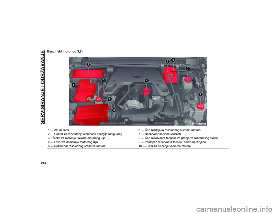 JEEP WRANGLER UNLIMITED 2020  Knjižica za upotrebu i održavanje (in Serbian) SERVISIRANJE I ODRŽAVANJE
244
Benzinski motor od 3,6 l 
1 — Akumulator6 — Čep hladnjaka rashladnog sistema motora
2 — Centar za razvođenje električne energije (osigurači) 7 — Rezervoar ko