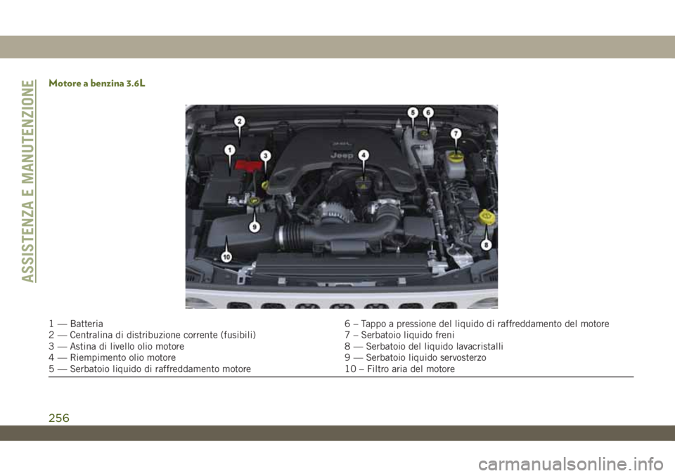 JEEP WRANGLER 2DOORS 2019  Libretto Uso Manutenzione (in Italian) Motore a benzina 3.6L
1 — Batteria 6 – Tappo a pressione del liquido di raffreddamento del motore
2 — Centralina di distribuzione corrente (fusibili) 7 – Serbatoio liquido freni
3 — Astina d