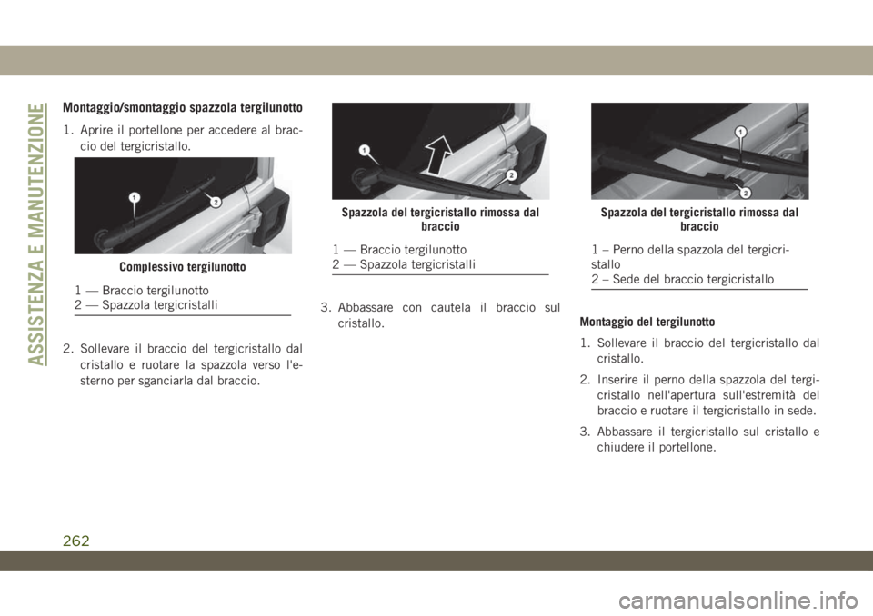 JEEP WRANGLER 2DOORS 2019  Libretto Uso Manutenzione (in Italian) Montaggio/smontaggio spazzola tergilunotto
1. Aprire il portellone per accedere al brac-
cio del tergicristallo.
2. Sollevare il braccio del tergicristallo dal
cristallo e ruotare la spazzola verso l&