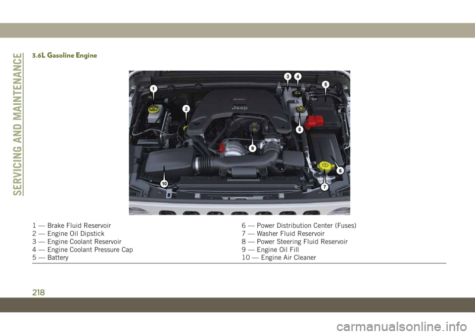 JEEP WRANGLER 2DOORS 2018 Owner handbook (in English) 3.6L Gasoline Engine
1 — Brake Fluid Reservoir 6 — Power Distribution Center (Fuses)
2 — Engine Oil Dipstick 7 — Washer Fluid Reservoir
3 — Engine Coolant Reservoir 8 — Power Steering Flui JEEP WRANGLER 2DOORS 2018 Owner handbook (in English) 3.6L Gasoline Engine
1 — Brake Fluid Reservoir 6 — Power Distribution Center (Fuses)
2 — Engine Oil Dipstick 7 — Washer Fluid Reservoir
3 — Engine Coolant Reservoir 8 — Power Steering Flui