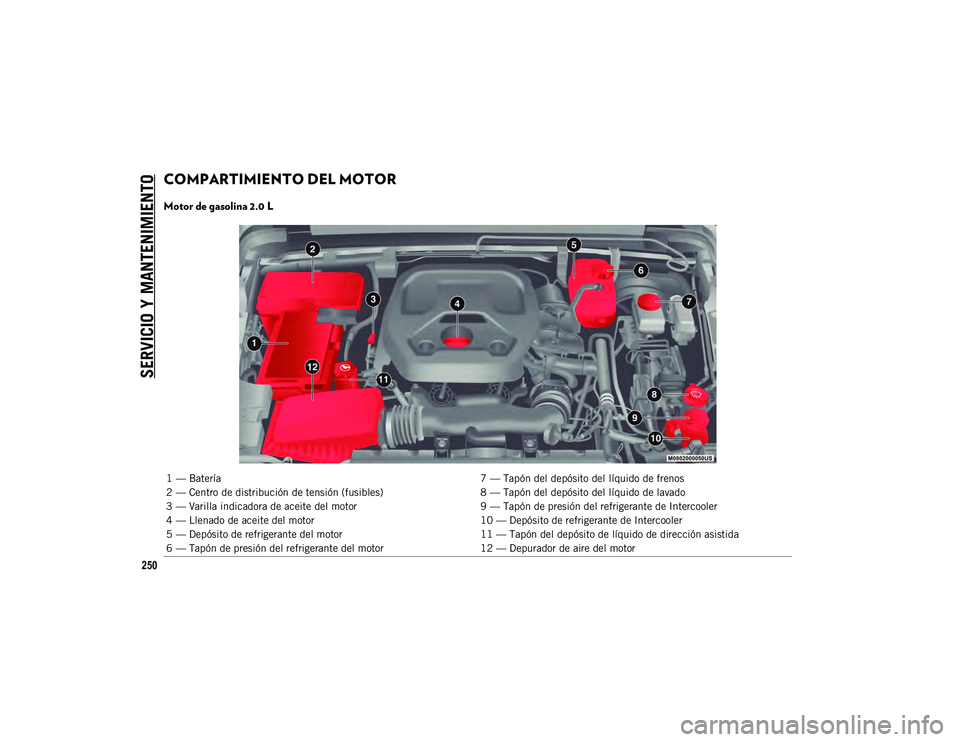 JEEP WRANGLER 2DOORS 2020 Manual de Empleo y Cuidado (in Spanish) SERVICIO Y MANTENIMIENTO
250
COMPARTIMIENTO DEL MOTOR
Motor de gasolina 2.0 L
1 — Batería7 — Tapón del depósito del líquido de frenos
2 — Centro de distribución de tensión (fusibles) 8 JEEP WRANGLER 2DOORS 2020 Manual de Empleo y Cuidado (in Spanish) SERVICIO Y MANTENIMIENTO
250
COMPARTIMIENTO DEL MOTOR
Motor de gasolina 2.0 L
1 — Batería7 — Tapón del depósito del líquido de frenos
2 — Centro de distribución de tensión (fusibles) 8