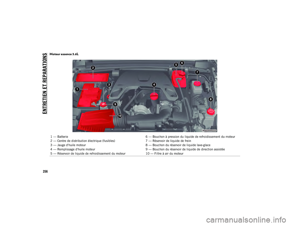 JEEP WRANGLER 2DOORS 2021 Notice dentretien (in French) ENTRETIEN ET REPARATIONS
256
Moteur essence 3.6L
1 — Batterie6 — Bouchon à pression du liquide de refroidissement du moteur
2 — Centre de distribution électrique (fusibles) 7 — Réservoir d JEEP WRANGLER 2DOORS 2021 Notice dentretien (in French) ENTRETIEN ET REPARATIONS
256
Moteur essence 3.6L
1 — Batterie6 — Bouchon à pression du liquide de refroidissement du moteur
2 — Centre de distribution électrique (fusibles) 7 — Réservoir d