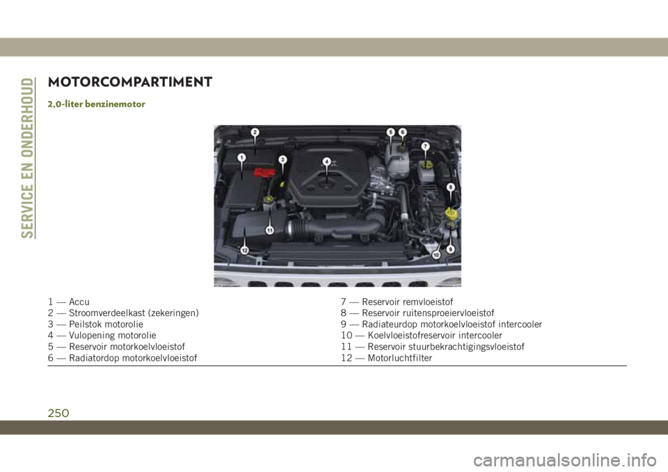 JEEP WRANGLER 2DOORS 2019 Instructieboek (in Dutch) MOTORCOMPARTIMENT
2,0-liter benzinemotor
1 — Accu 7 — Reservoir remvloeistof
2 — Stroomverdeelkast (zekeringen) 8 — Reservoir ruitensproeiervloeistof
3 — Peilstok motorolie 9 — Radiateurdo JEEP WRANGLER 2DOORS 2019 Instructieboek (in Dutch) MOTORCOMPARTIMENT
2,0-liter benzinemotor
1 — Accu 7 — Reservoir remvloeistof
2 — Stroomverdeelkast (zekeringen) 8 — Reservoir ruitensproeiervloeistof
3 — Peilstok motorolie 9 — Radiateurdo