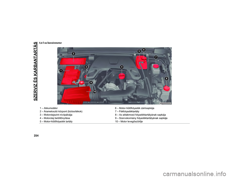 JEEP WRANGLER 2DOORS 2020  Kezelési és karbantartási útmutató (in Hungarian) SZERVIZ ÉS KARBANTARTÁS
254
3,6 l-es benzinmotor 
1 – Akkumulátor6 – Motor-hűtőfolyadék zárósapkája
2 – Áramelosztó központ (biztosítékok) 7 – Fékfolyadéktartály
3 – Motorol
